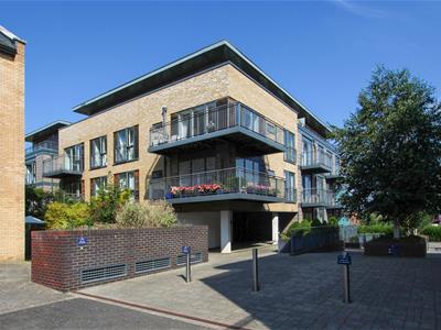 Picture 10